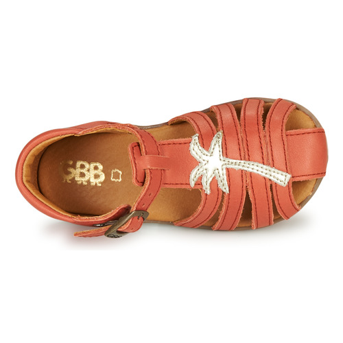 GBB - ANAYA - Corail