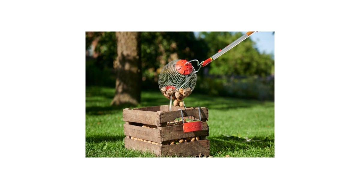 WOLF-Gartenmulti-star FC-MS fruitverzamelaar fruitplukker  (Rood, beugel niet inbegrepen)