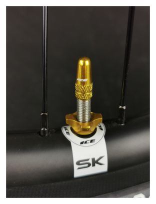 Kit de Bouchons en Aluminium (x2) et Ecrous (x2) Ice Airflow Or