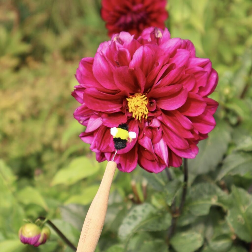 Pollination Wand