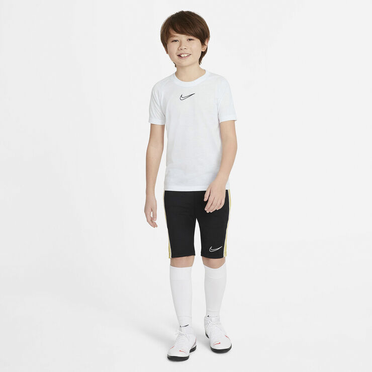 Nike Dri Fit Academy Shorts Sort