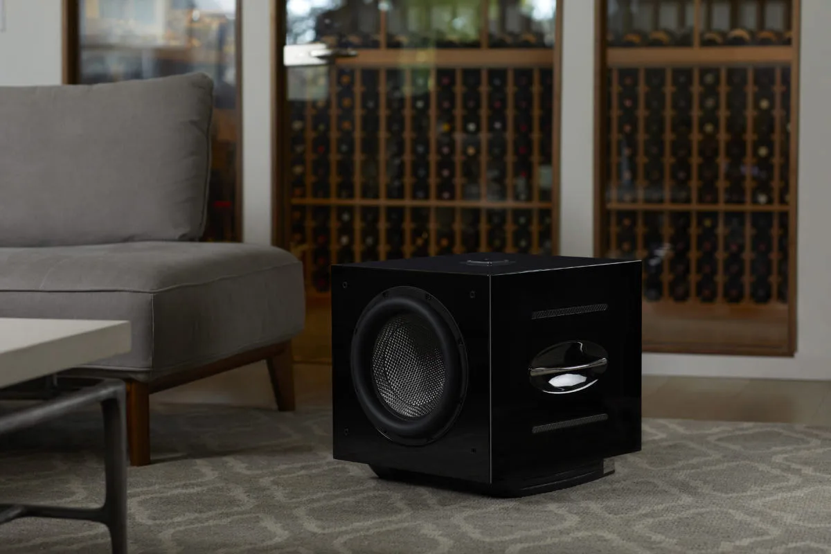 REL Acoustics Carbon Special Caissons de basses
