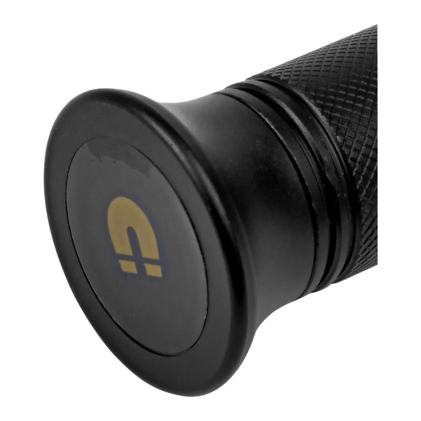 Fleksibel arbeidslampe LED 1000 lm 8 W 2000 mAh