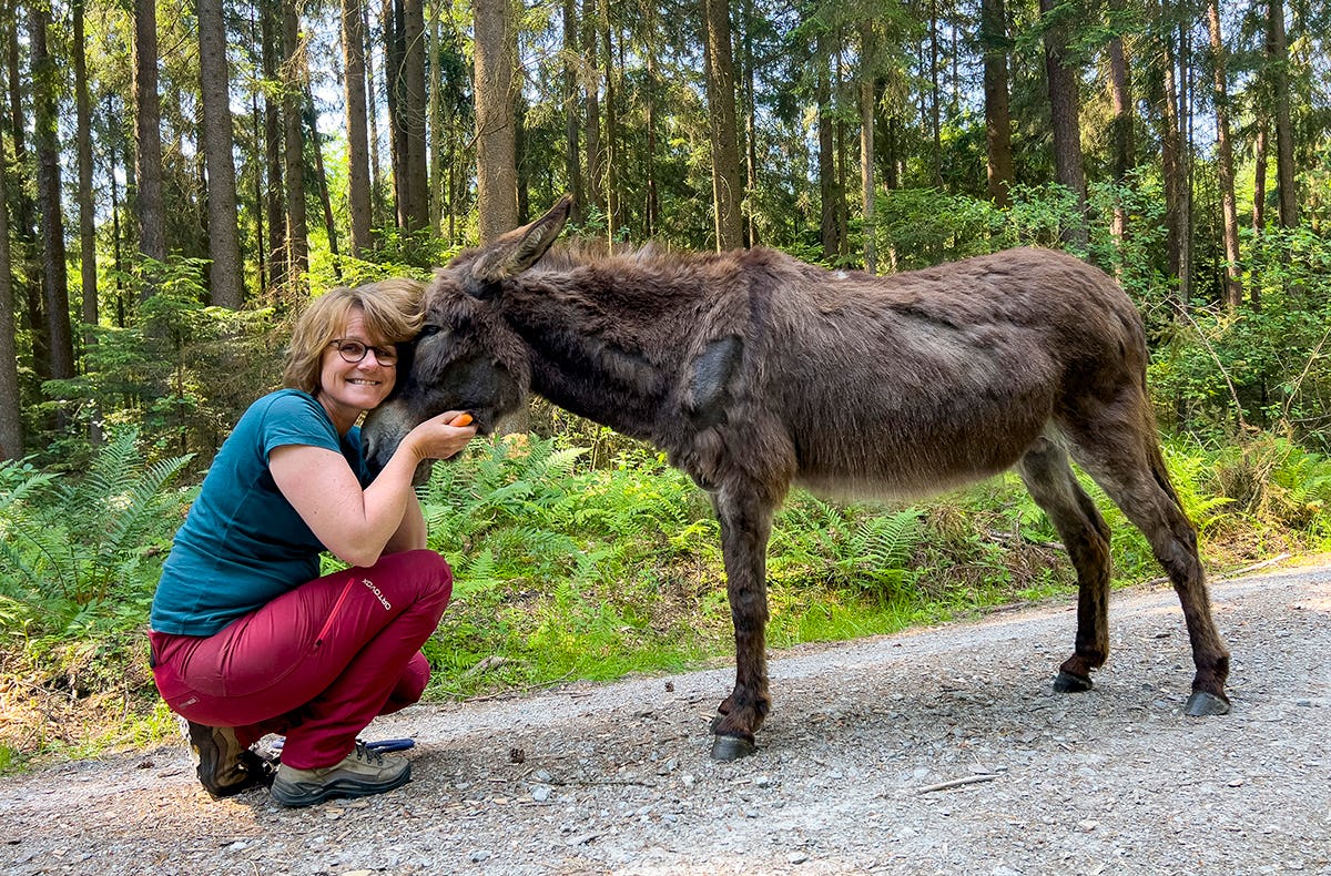 Eselwanderung für 2 Fichtenau