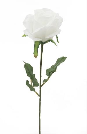 TIGE DE ROSE H.72CM BLANC