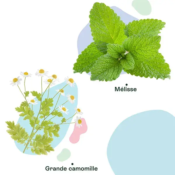 Naturactive Maux de Tete Flash Bio 14 gelules