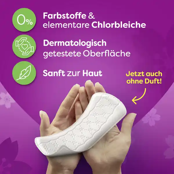Slipeinlagen Plus Large Frischeduft