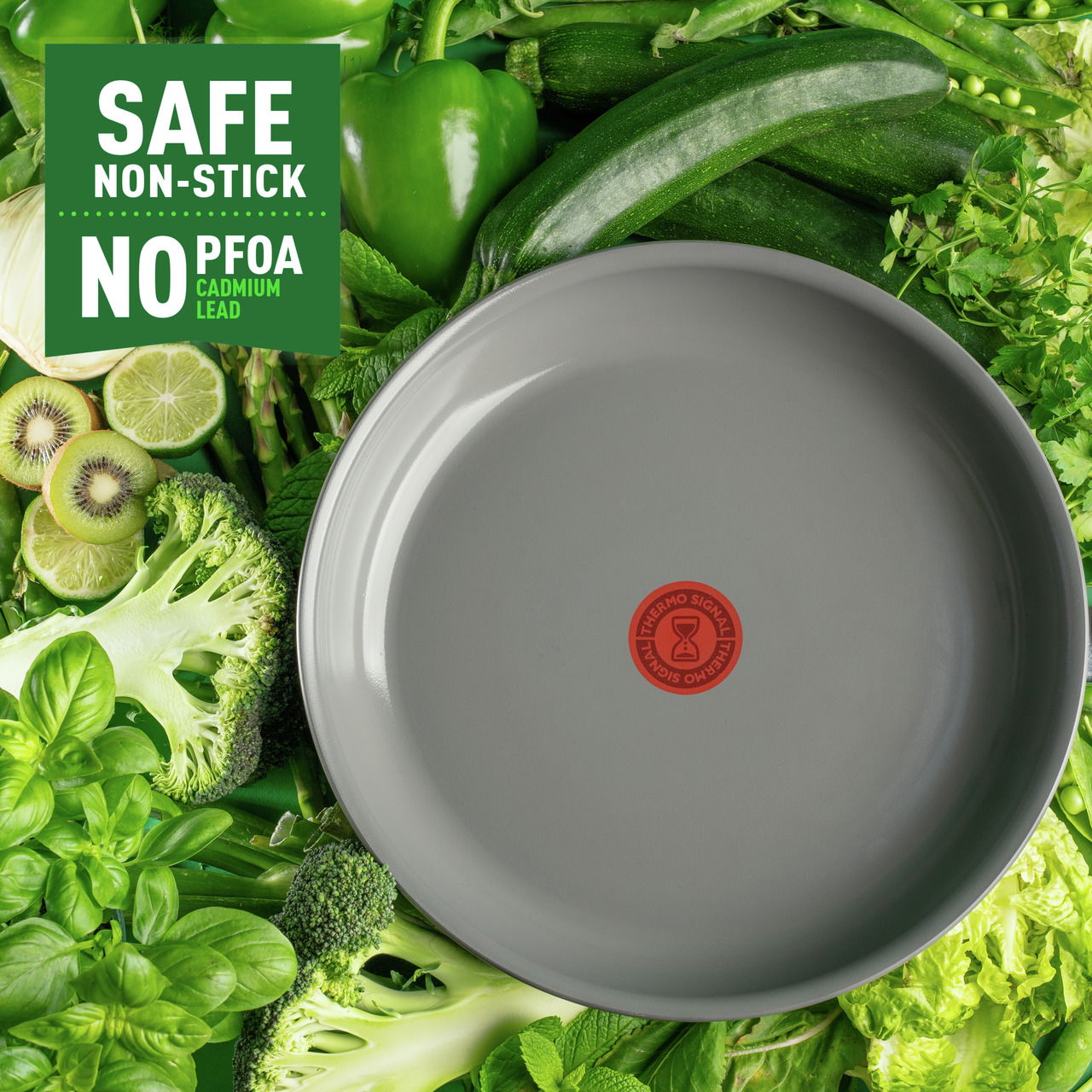 Tefal Pfanne 24cm Renewal RENEWAL