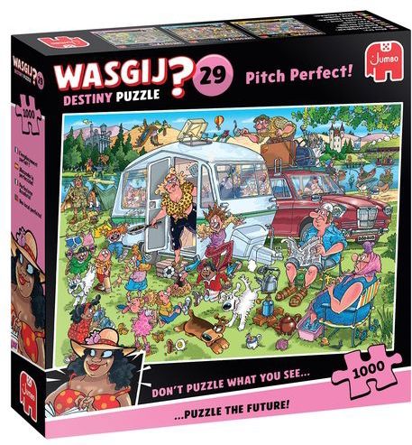 Jumbo - Wasgij Destiny 29 - Legpuzzel - Op De Camping - 1000 Stukjes