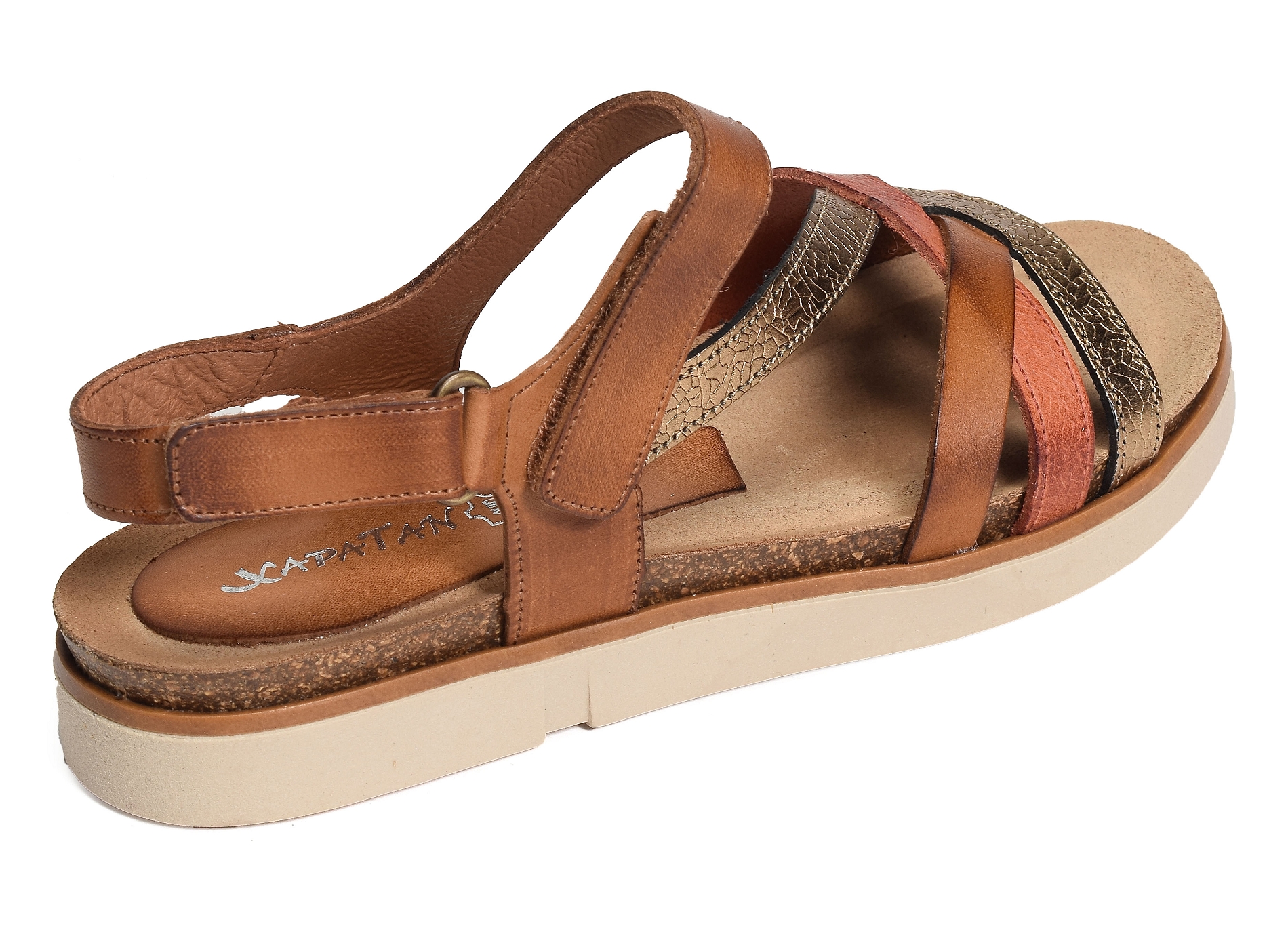 1633 camel