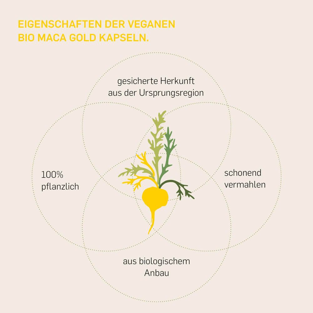 Kurkraft© Bio Maca Gold