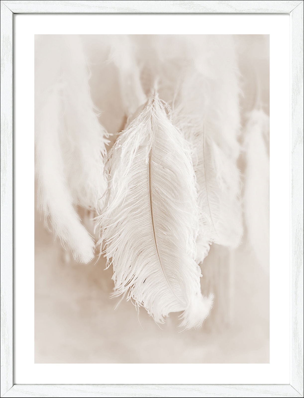 PRO ART Framed-Art Bild THE FEATHER II 33 x 43 cm weiß