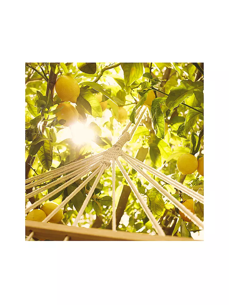 MAISON MARGIELA Replica Under the Lemon Trees Eau de Toilette 100ml keine Farbe