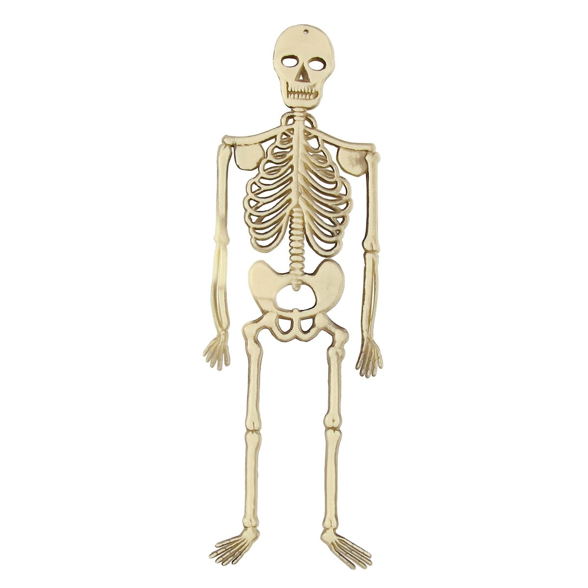 Halloween Skelet 32cm
