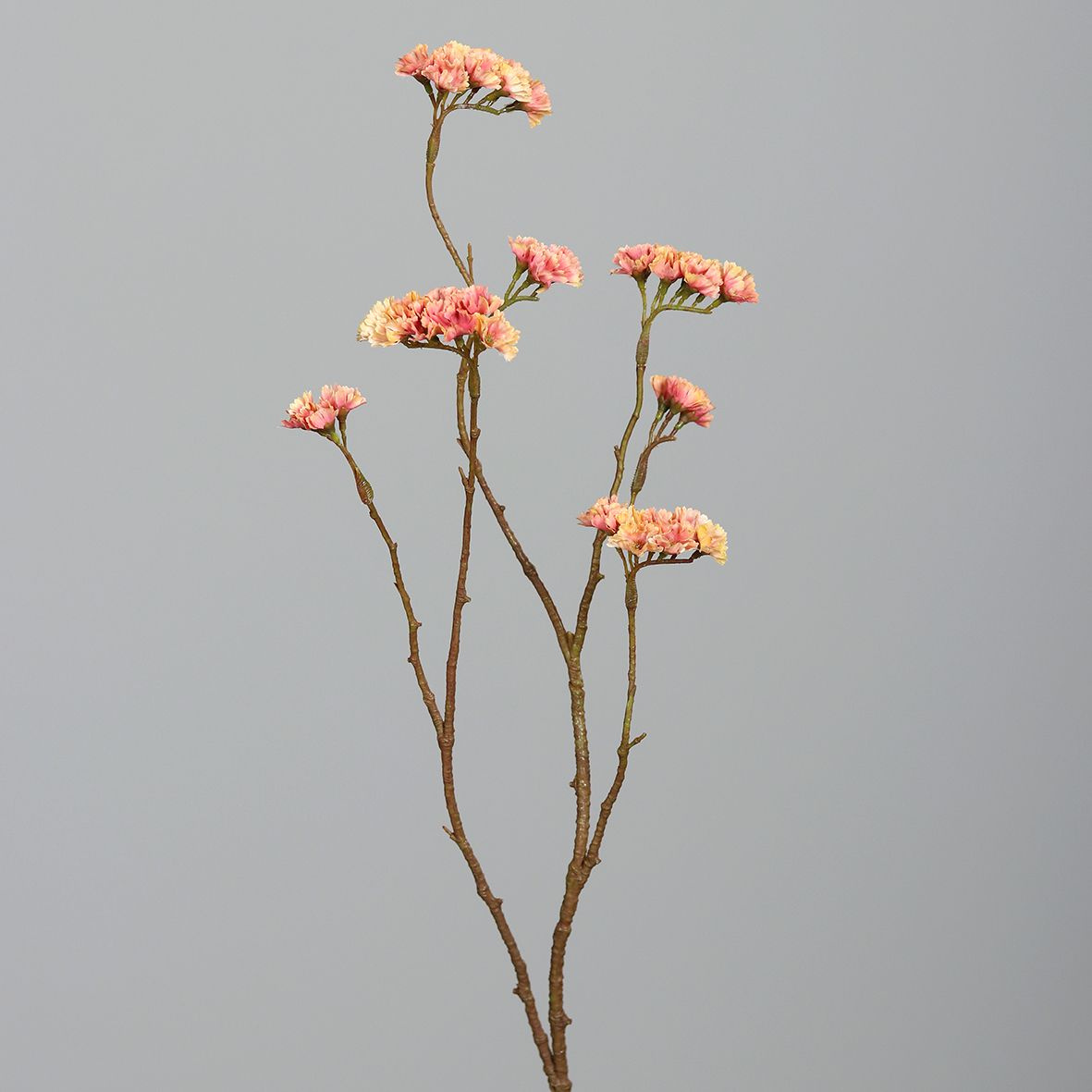 Kunstblume STATICE