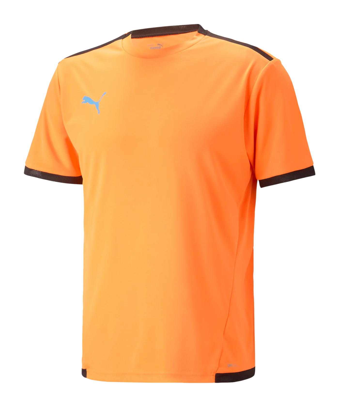 PUMA teamLIGA Trikot Orange Schwarz F50