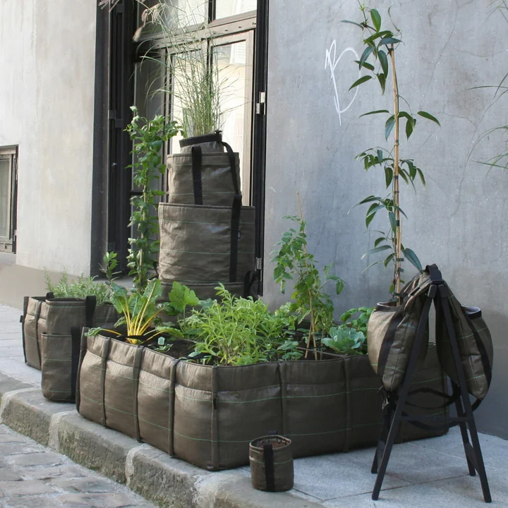 Bacsac - Pot Pflanztasche Batyline 50 l, yucca