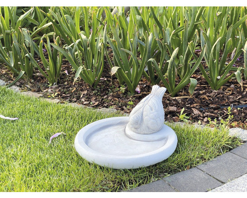 Witte betonnen vogelbad