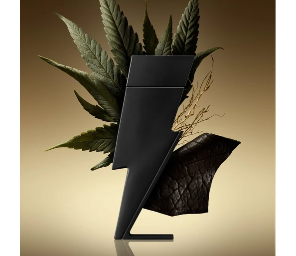 Carolina Herrera Bad Boy Le Parfum Eau de Parfum