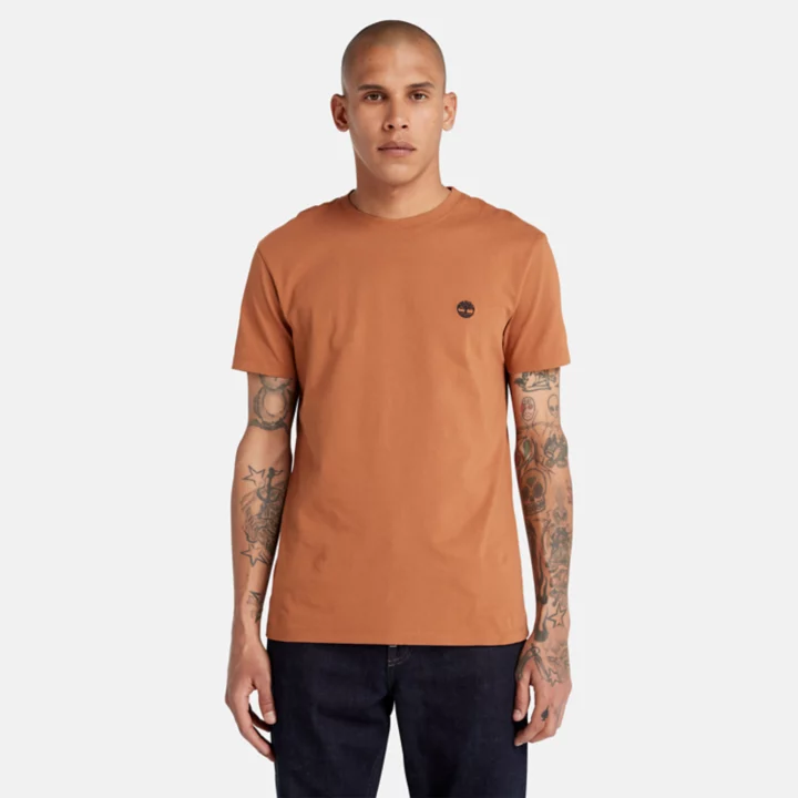 Camiseta Dunstan River Crewneck Masculina na cor marrom