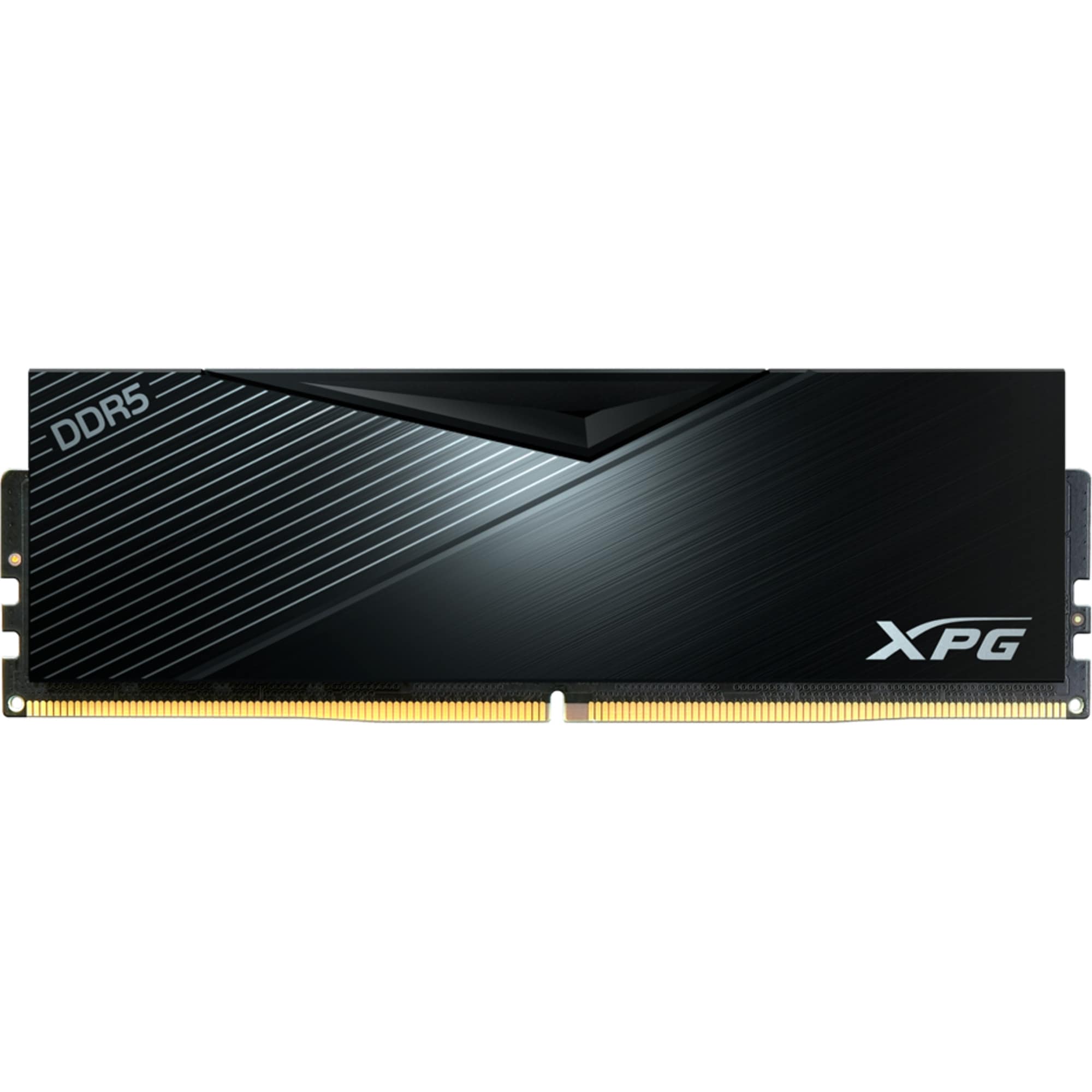 ADATA Arbeitsspeicher DIMM 32 GB DDR5-5600 (1x 32 GB)