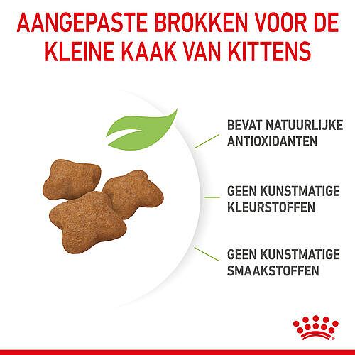 Royal Canin Kitten Sterilised | 3.5 kg | 12901.1