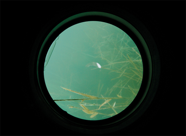 Monocle d'observation Carp Spirit
