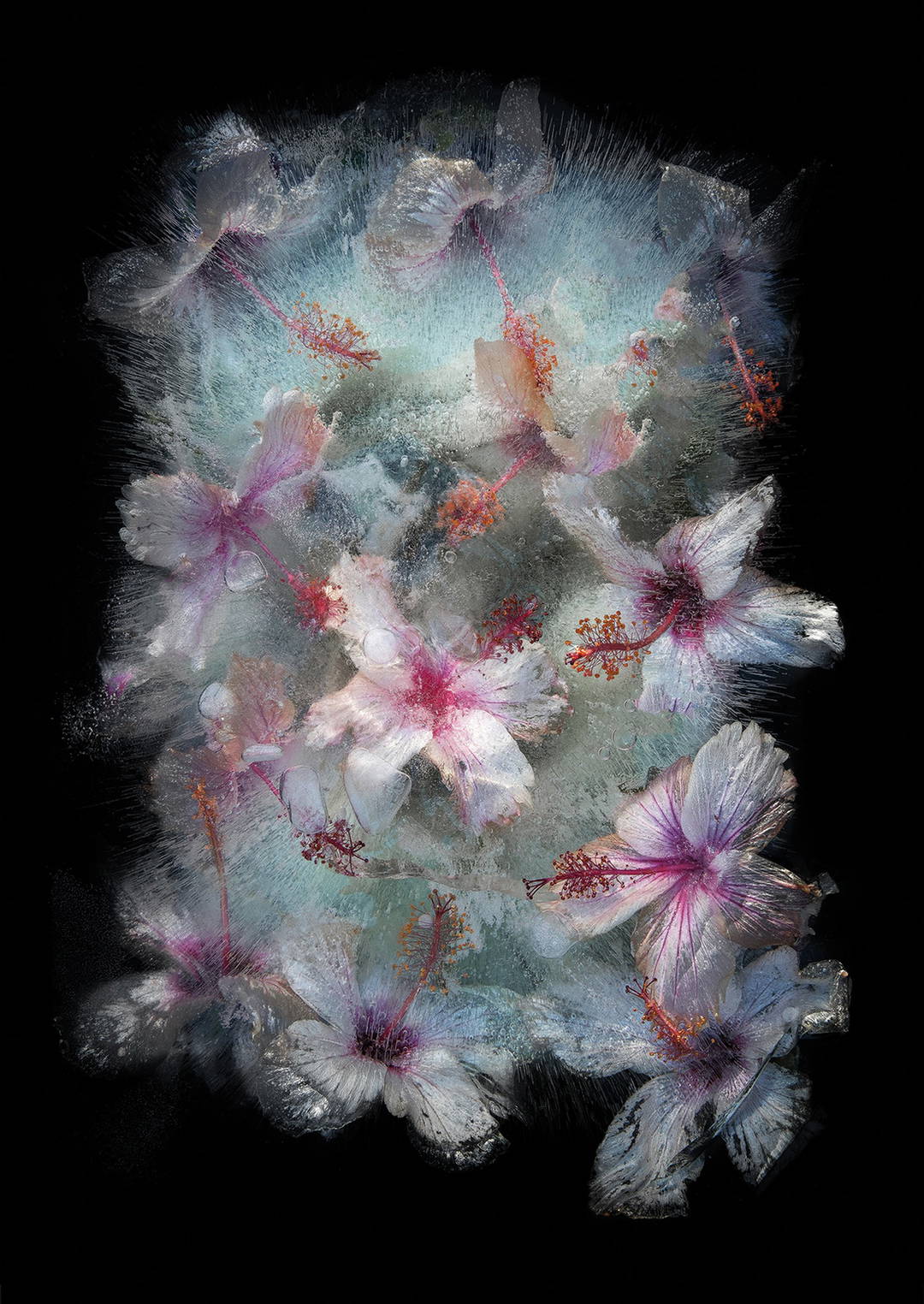 Swan Lake by Bruce Boyd - Limited Edition. Edition of: 150. Signed.