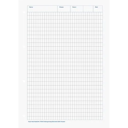 BRUNNEN Kieser-Block A4, 50 Blatt, gelocht, Lineatur 23