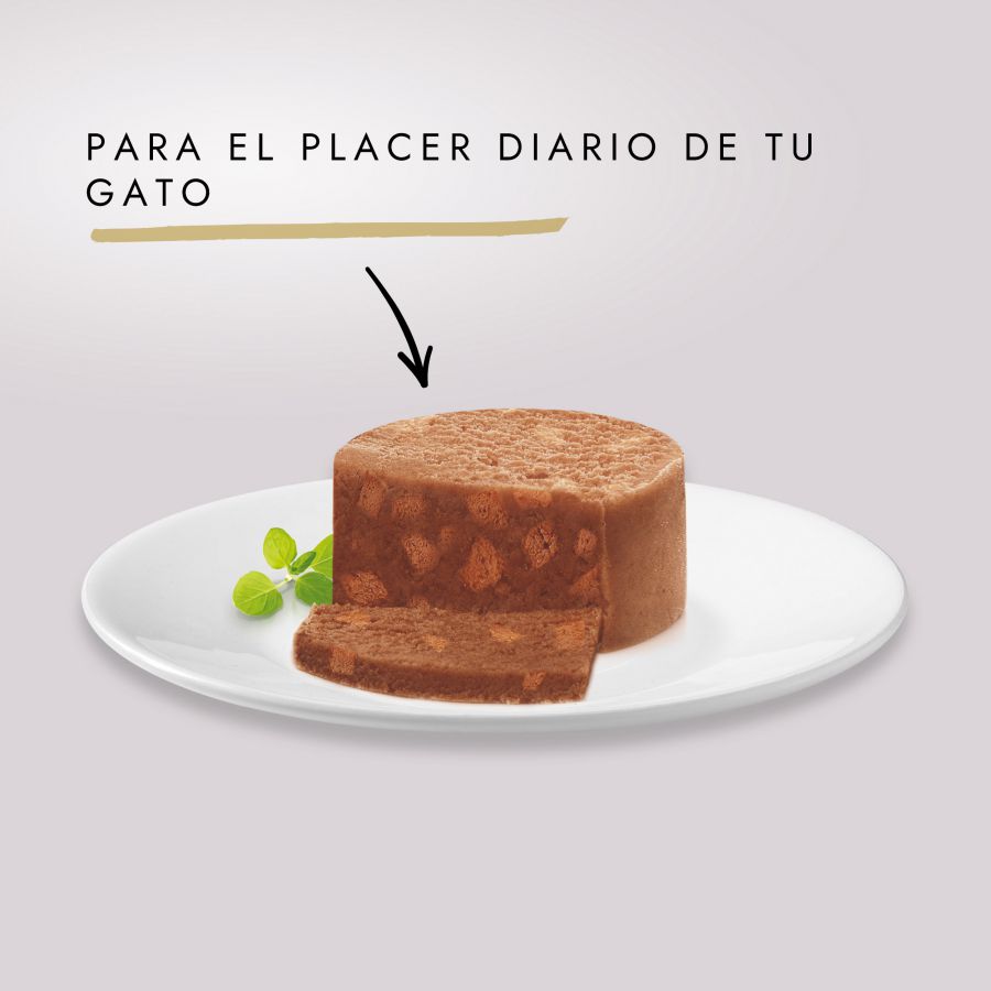 Gourmet Gold Terrine Conejo lata para gatos