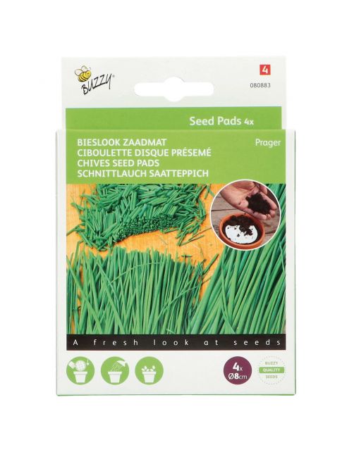 Buzzy Seedpads Bieslook Prager 4x 8cm - Kruidenzaden -