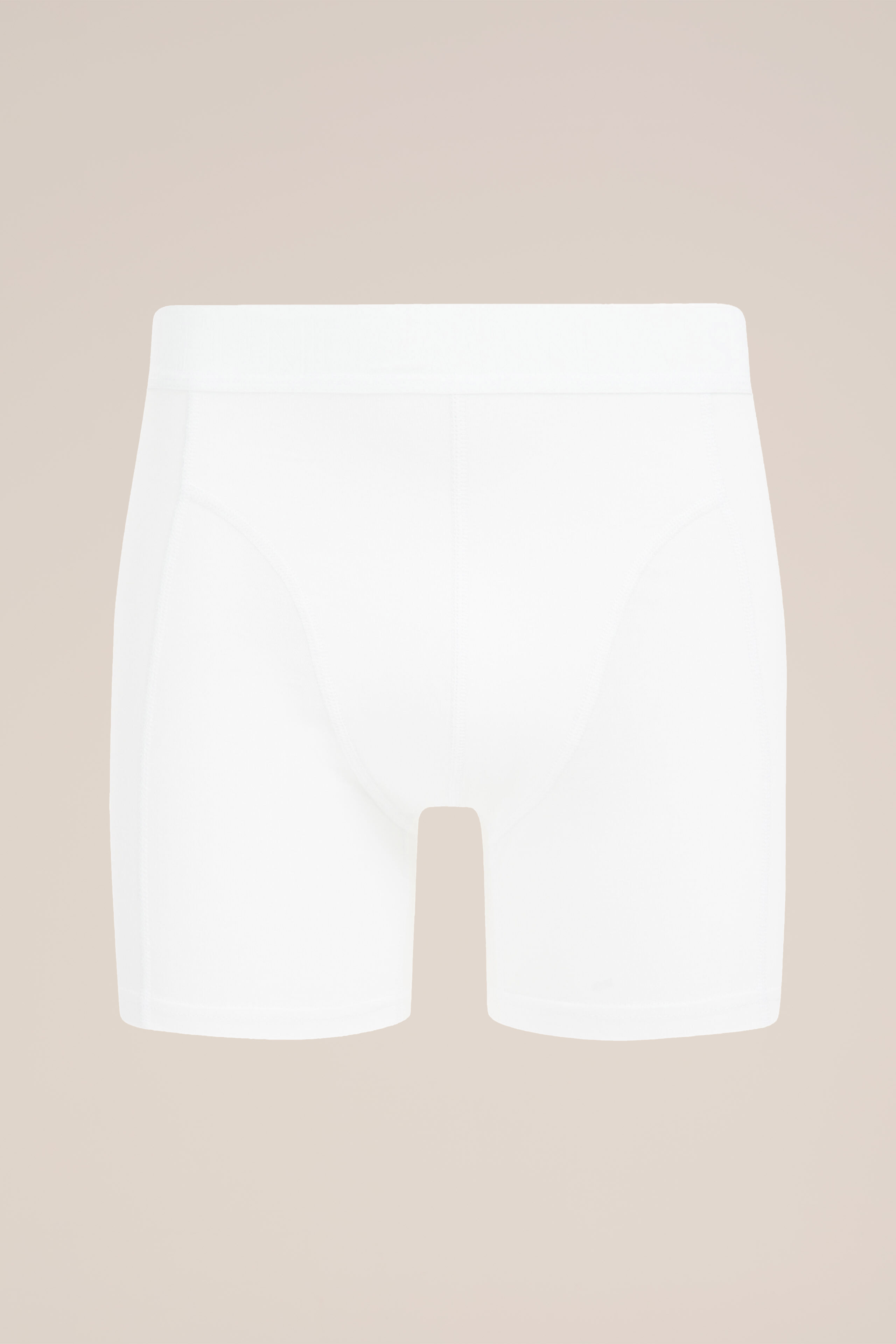 boxershort Fundamentals Wit