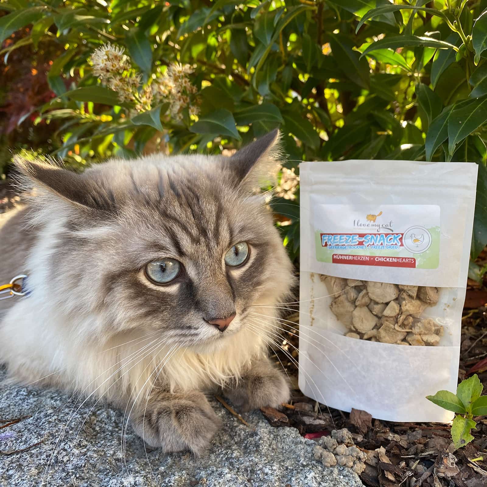 I love my cat Gesunder Freeze-Snack für Katzen - Hühnerherzen (gefriergetrocknet)