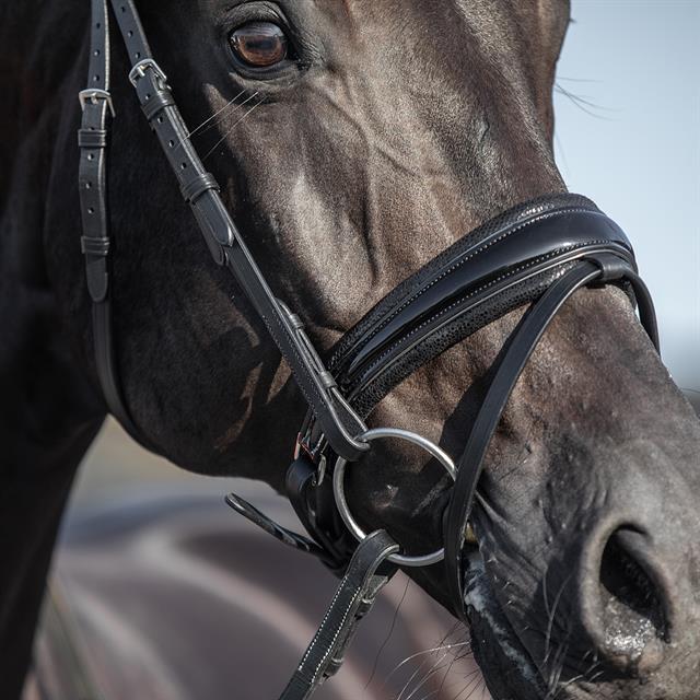 Hoofdstel HORSEGEAR HGLe Noir Zwart
