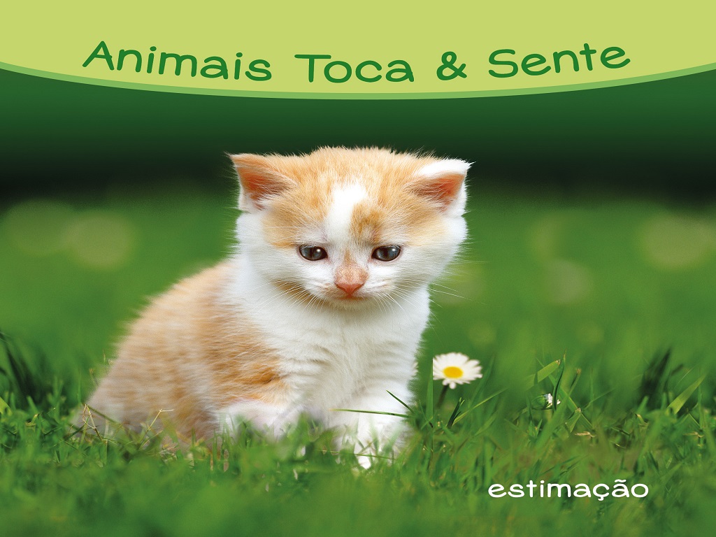LIVRO ANIMAIS TOCA & SENTE - ANIMAIS DE ESTIMAÇÃO
