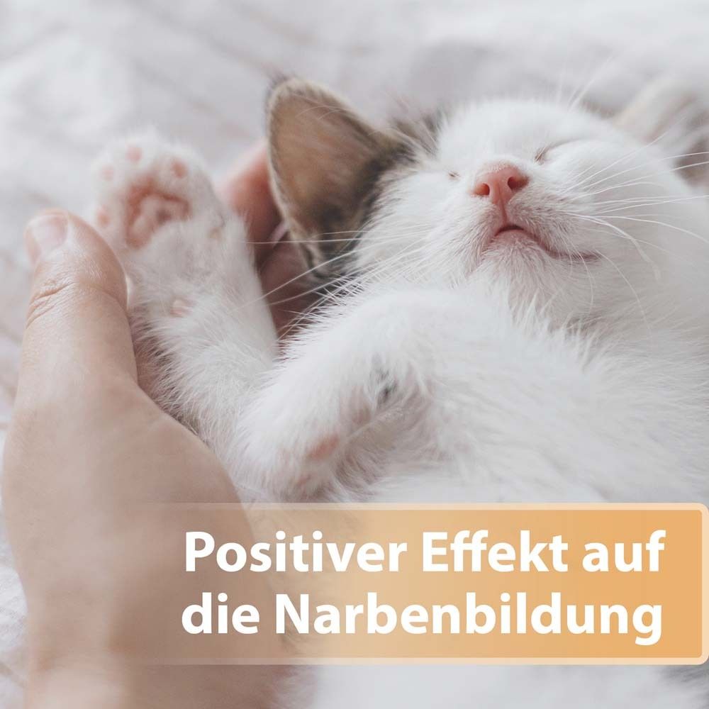 Felisept® Wundgel für Katzen