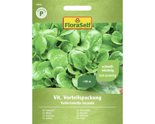 Veldsla Vit FloraZelfbestuivende zaden Slazaad Voordeelverpakking