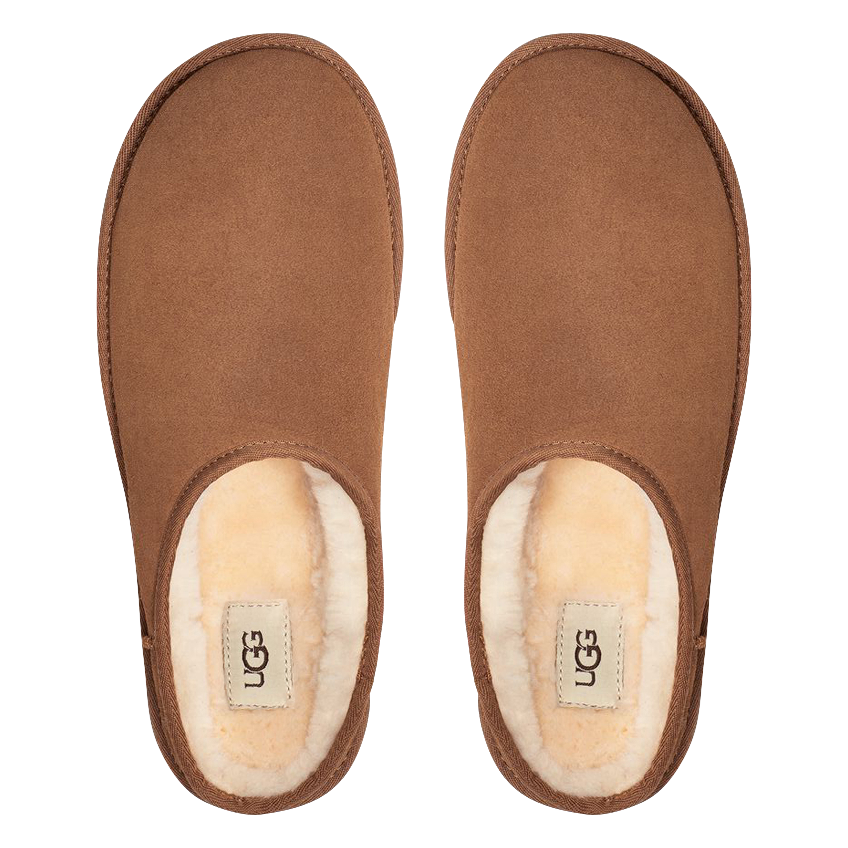 CLASSIC - Chaussons en cuir | Marron