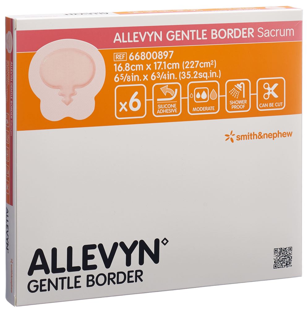 ALLEVYN 16.8x17.1cm 6 Stk<br>6 Stück, 16.8x17.1cm