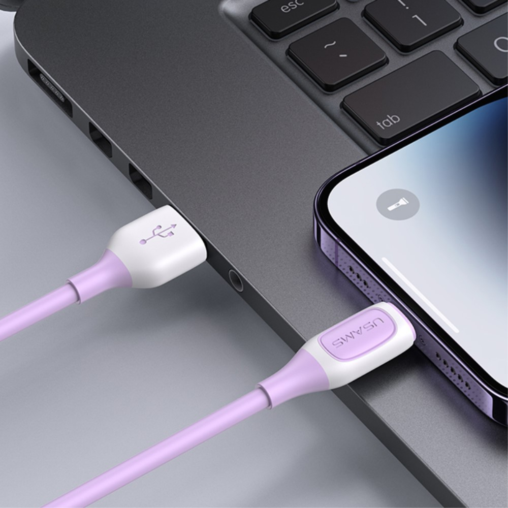 (1m) 2.4A USB A auf Lightning Ladekabel Fast Charge Datenkabel - Blau