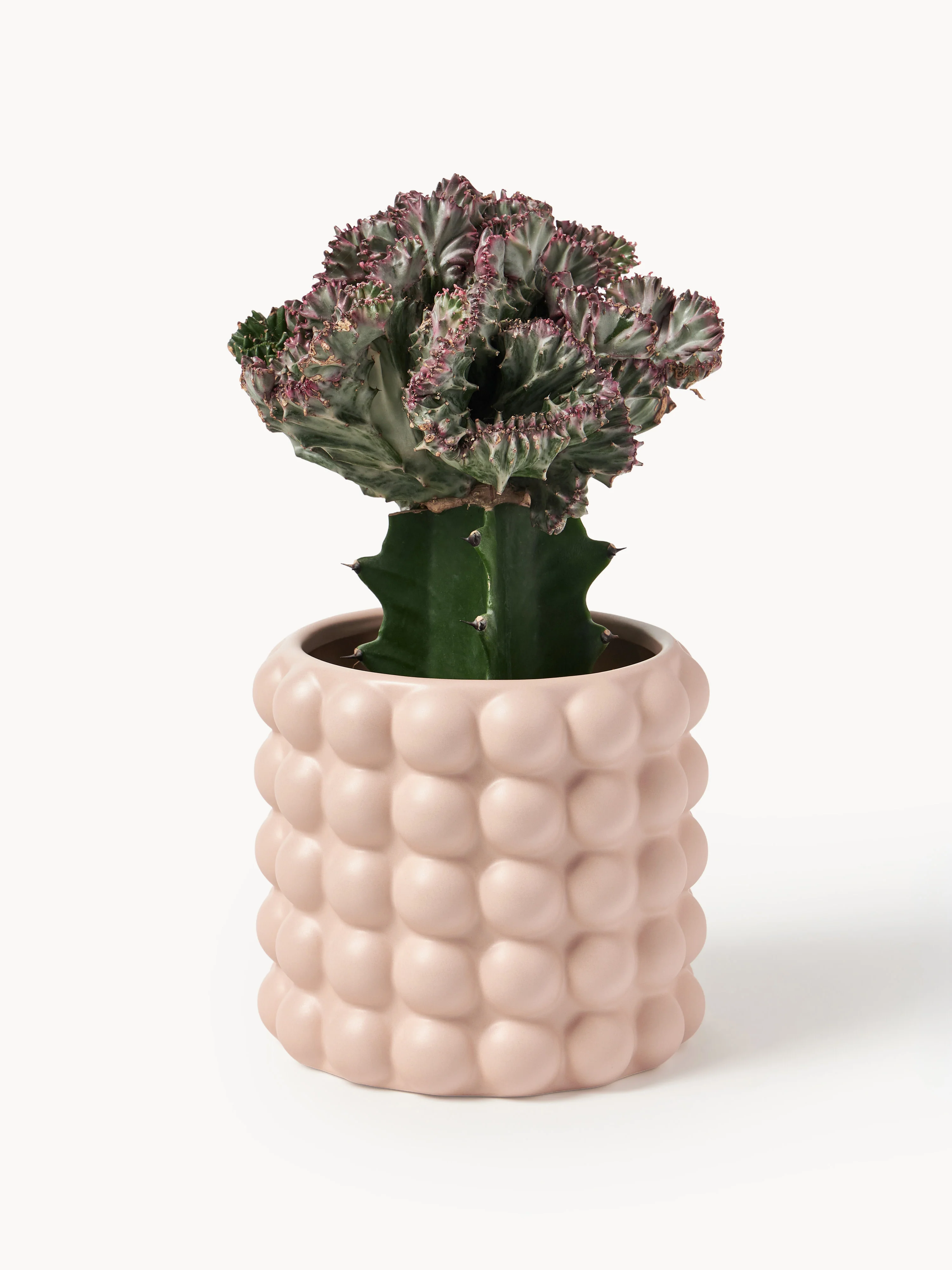 Plantenpot Bob van steengoed, H 15 cm