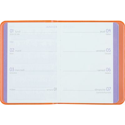 Agenda Colornote - 1 semaine sur 2 pages - 7,5 x 10,5 cm - orange - Oberthur