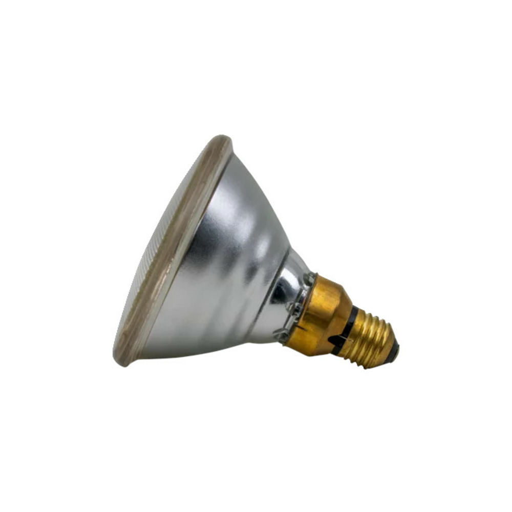 Ampoule infrarouge par 100 w claire