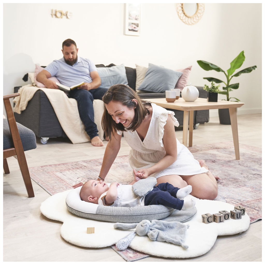 BabymoovBabymoov   Babynest CloudNest