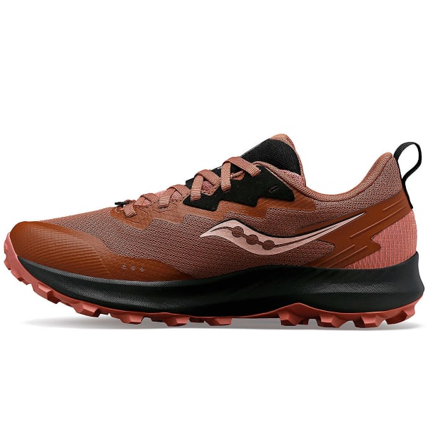 Chaussure trail SAUCONY PEREGRINE 14 GORE-TEX W CLOVE/BLACK