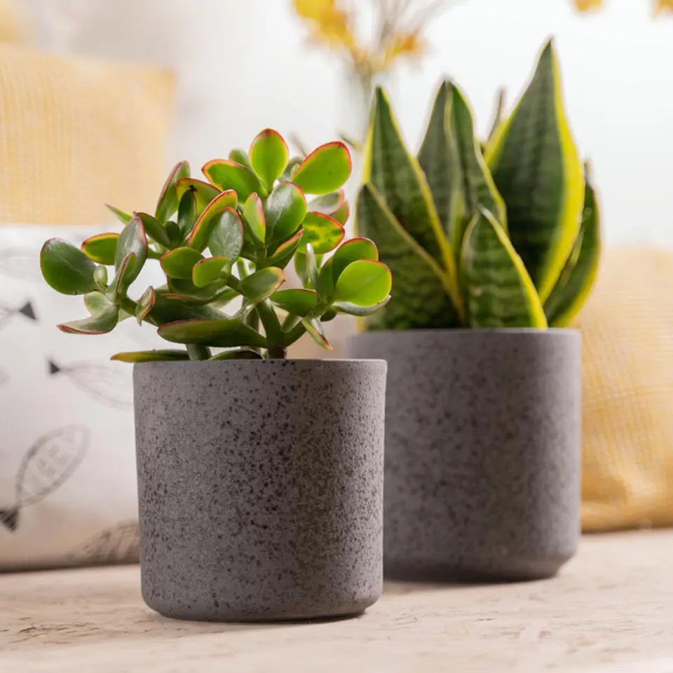 Hakbijl Plantenpot/bloempot Cindy - keramiek - D17 x H17 cm