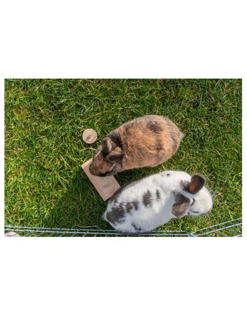 Trixie Intelligentiespel Snack Box - Speelgoed - 14x3x7 cm