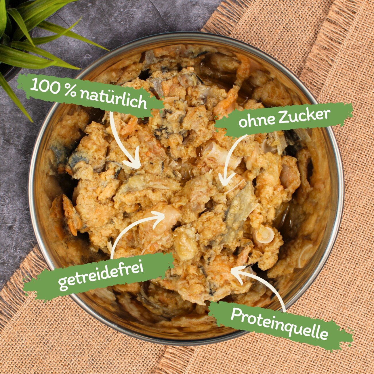 Lyra Pet Lecker.Pet Mia's 100 % Lachs Katzenfutter Nassfutter 6x400 g