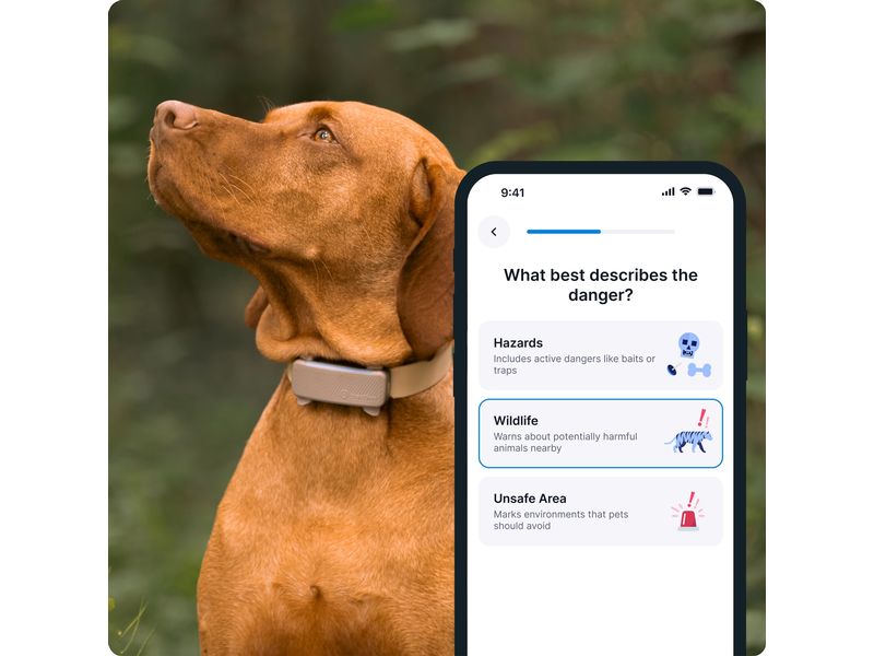 tractive GPS-Tracker DOG 6 Braun GPS Tracker für Hunde