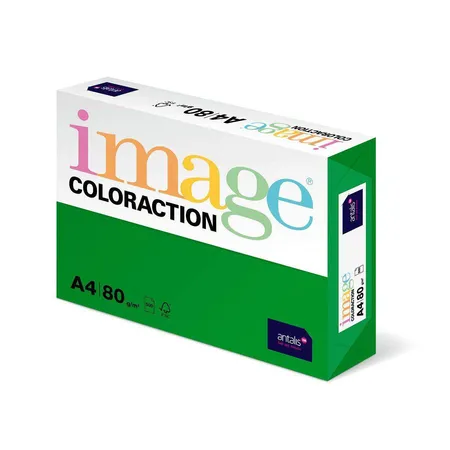 Antalis Kopierpapier, DIN A4, 80 g/qm, Farbe: dublin moosgrün